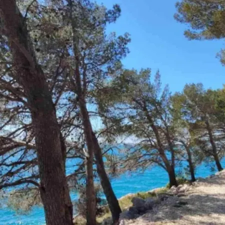 Apartamento Adria